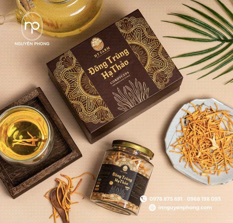 Mẫu in hộp đông trùng hạ thảo sang trọng